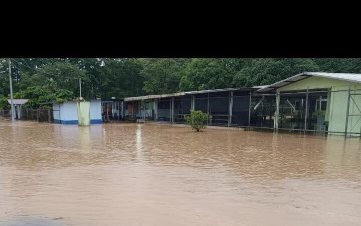 Solo 11 centros educativos permanecen con lecciones suspendidas por las lluvias