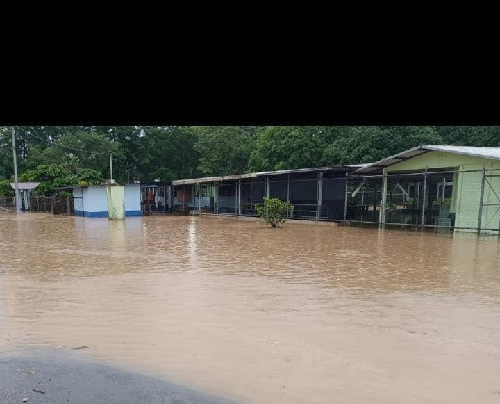 Solo 11 centros educativos permanecen con lecciones suspendidas por las lluvias