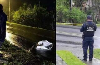 OIJ localizó una segunda víctima de homicidio en Turrialba a pocos metros del primer cuerpo